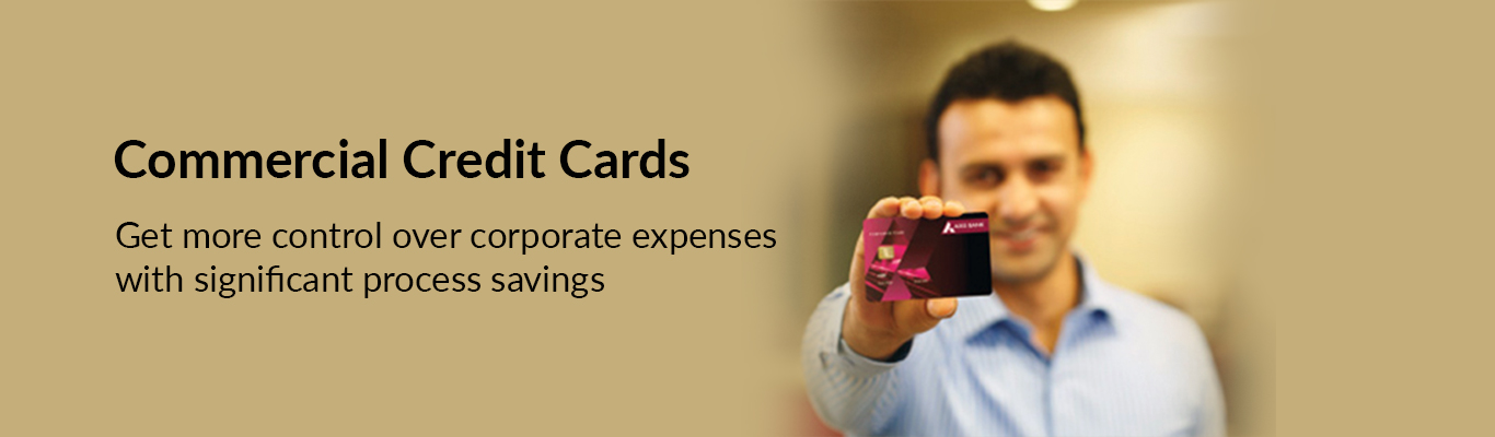 Axis bank credit cards
